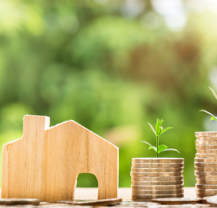 The Benefits of Investing in Eco-Friendly Property
