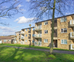 Is Social Housing a Good Investment?